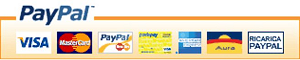 pagamenti sicuri con Paypal
