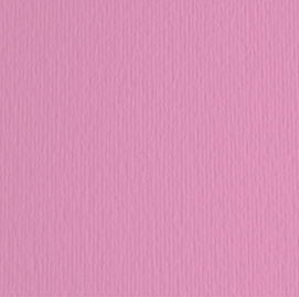 BLISTER 10FG CARTONCINO 70X100 220GR FUXIA 123 FABRIANO ELLE ERRE