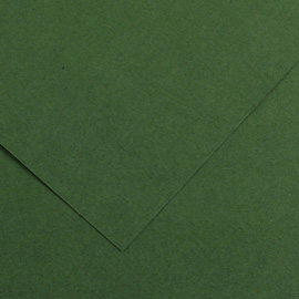 Foglio COLORLINE 70x100 cm 220 gr. 31 Verde abete